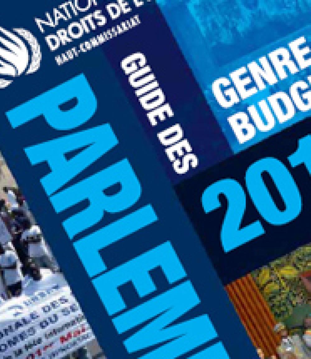 Brochure parlementaire